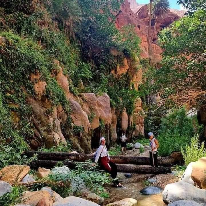 Dana Sunset Eco Camp Hotel Luaran gambar